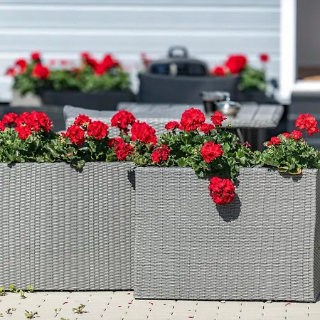 Casa de Férias Kotwisko *