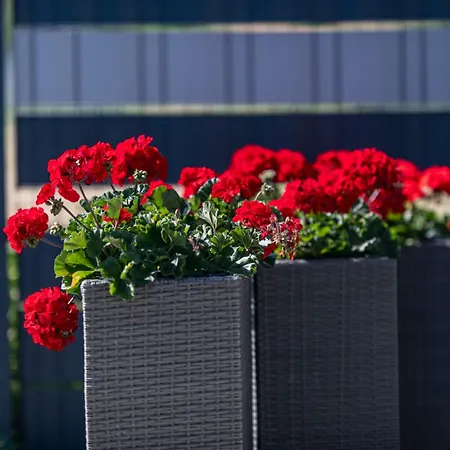 Kotwisko Casa de Férias Sarbinowo