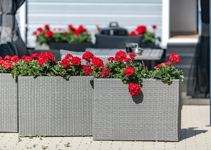 度假居 Kotwisko *